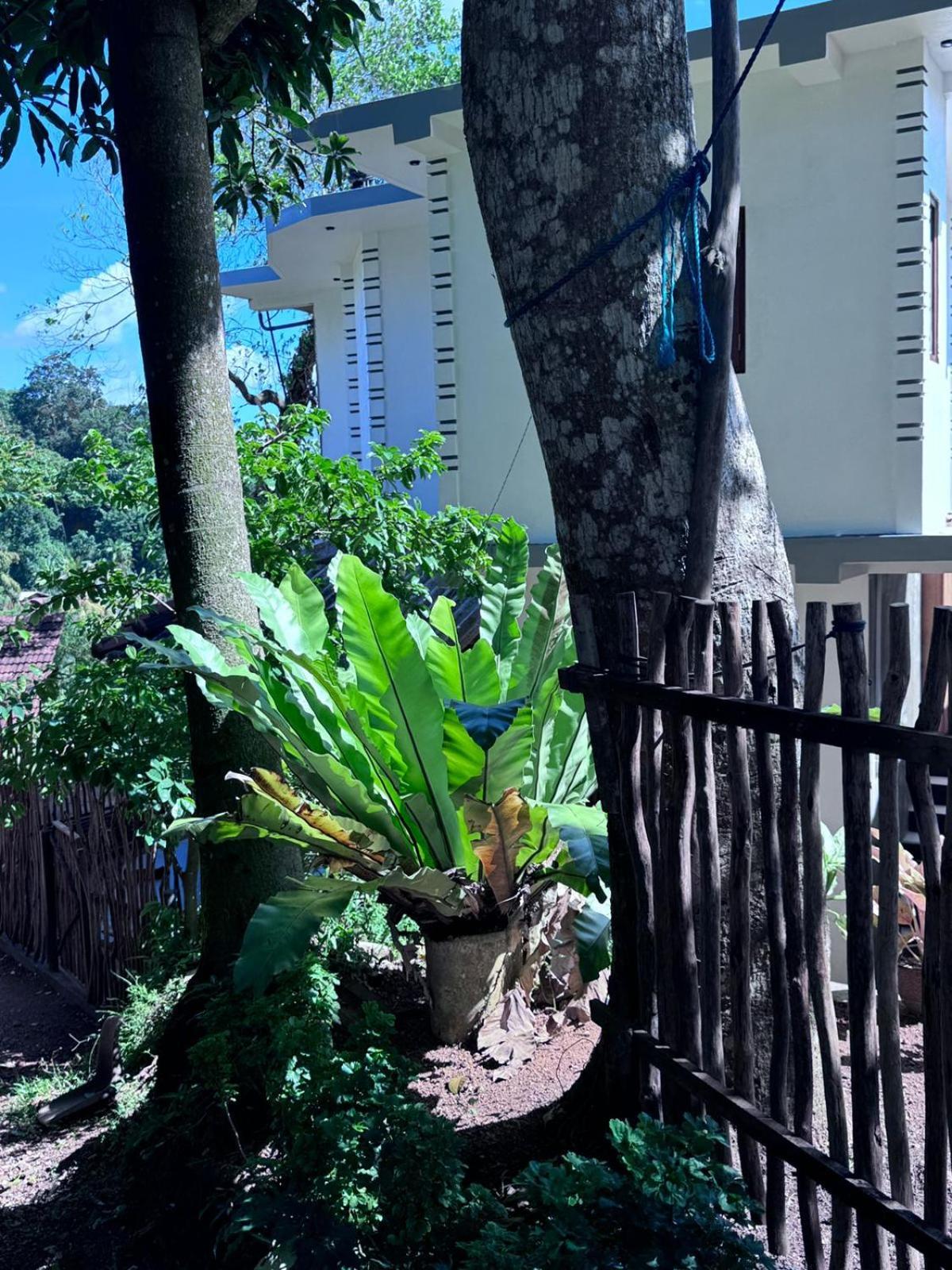 Green Nature Mirissa Exterior foto