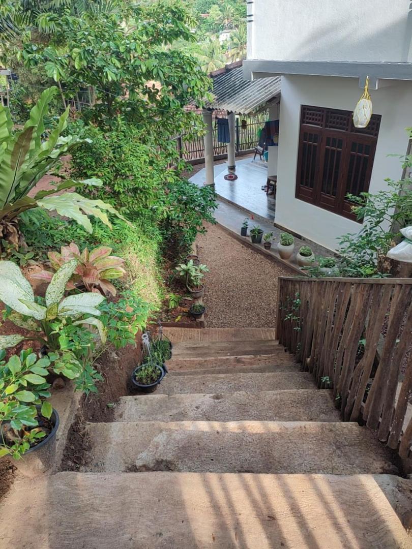 Green Nature Mirissa Exterior foto